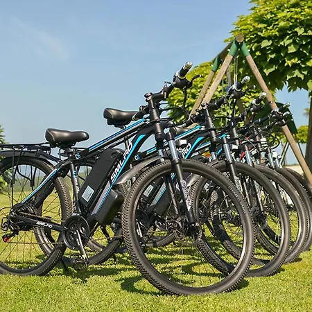 Four Stars Art-pe Daire Trebnje